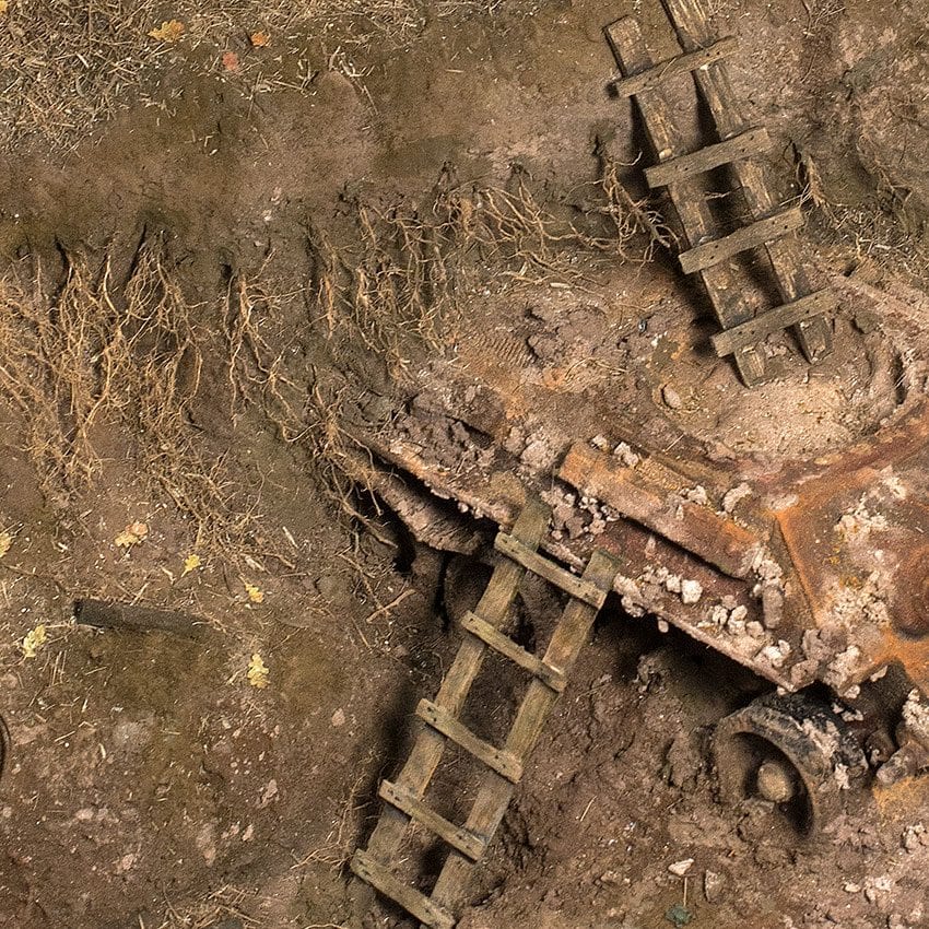 Med denna jordtextur får du ett realistiskt intryck bland skog och rötter till dina baser - Draklunden