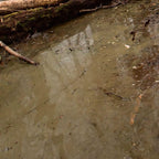 Water gel swamp effekt för att skapa ultra realistiskt träsk - Draklunden