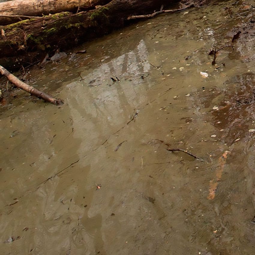 Water gel swamp effekt för att skapa ultra realistiskt träsk - Draklunden